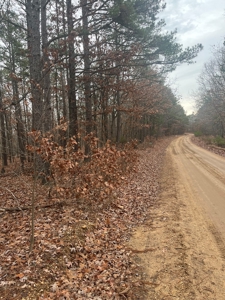 Wayne County Missouri Land Surrounded by National Forest - image 4