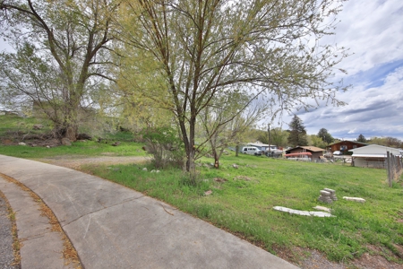 Colorado Vacant Land for Sale - image 13