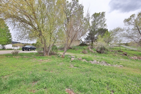 Colorado Vacant Land for Sale - image 8