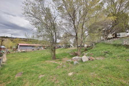 Colorado Vacant Land for Sale - image 9