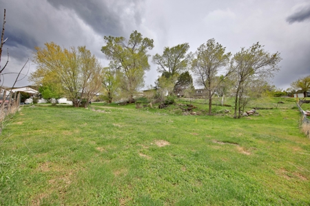 Colorado Vacant Land for Sale - image 7