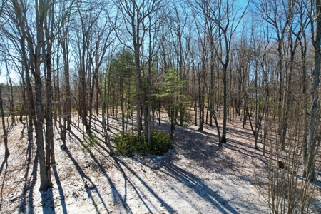 1 1/2 Story Log Home With 12.28 Acres± - image 13