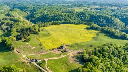 Accepted Offer in Albany, Kentucky - image 5