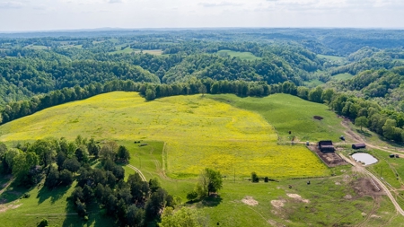 Accepted Offer in Albany, Kentucky - image 10