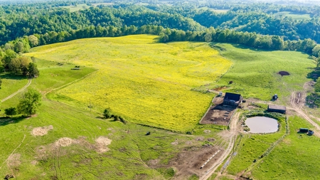 Accepted Offer in Albany, Kentucky - image 2