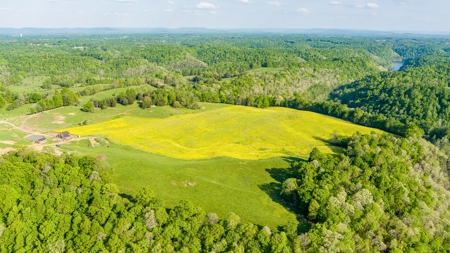 Accepted Offer in Albany, Kentucky - image 6