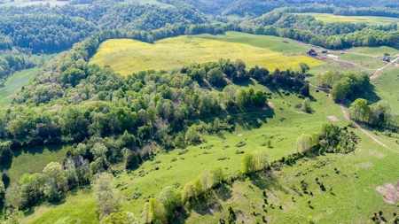 Accepted Offer in Albany, Kentucky - image 15