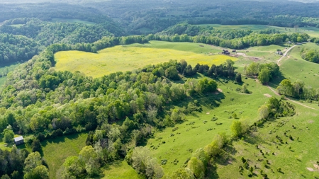 Accepted Offer in Albany, Kentucky - image 18