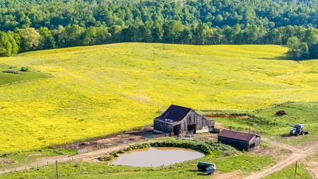 Accepted Offer in Albany, Kentucky - image 9
