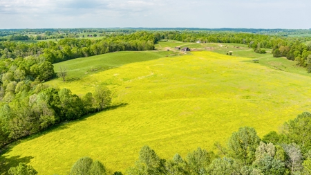 Accepted Offer in Albany, Kentucky - image 19