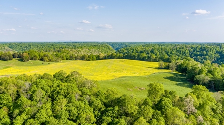 Accepted Offer in Albany, Kentucky - image 8