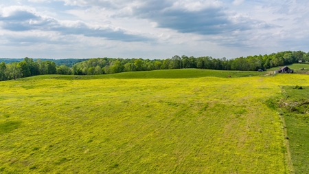 Accepted Offer in Albany, Kentucky - image 22