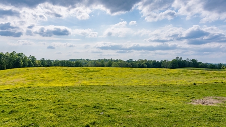 Accepted Offer in Albany, Kentucky - image 23