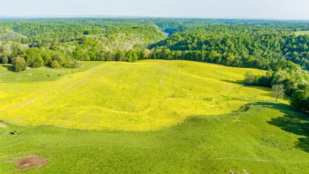 Accepted Offer in Albany, Kentucky - image 3