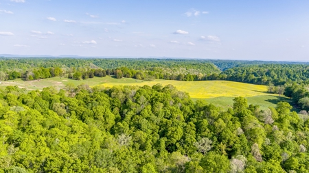 Accepted Offer in Albany, Kentucky - image 7