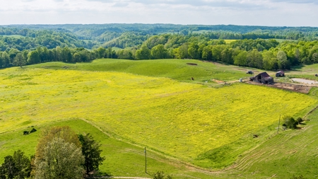 Accepted Offer in Albany, Kentucky - image 13