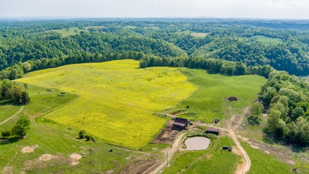 Accepted Offer in Albany, Kentucky - image 11