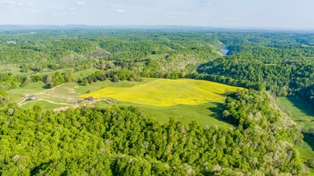 Accepted Offer in Albany, Kentucky - image 4