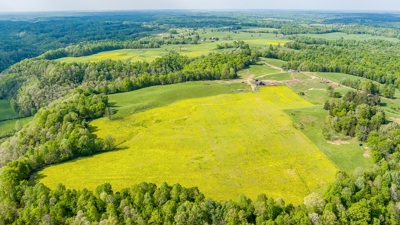 Accepted Offer in Albany, Kentucky