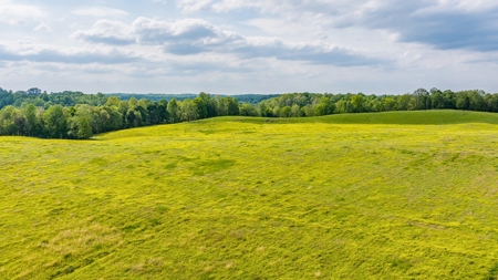 Accepted Offer in Albany, Kentucky - image 21