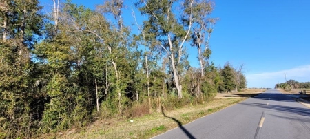 Vacant Land Levy County Fl! - image 3