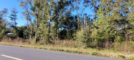Vacant Land Levy County Fl! - image 1