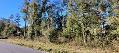 Vacant Land Levy County Fl! - image 2
