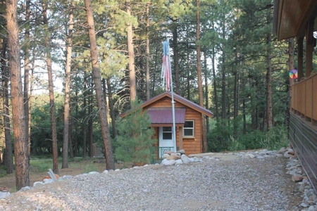 Gorgeous Log Cabin with Three car Garage and Studio - image 4