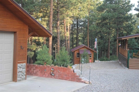 Gorgeous Log Cabin with Three car Garage and Studio - image 11