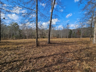 54 Acres Hunting Land Dallas County Alabama - image 7