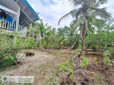 Caribbean Beach House, Bastimentos, Bocas del Toro, Panama - image 17