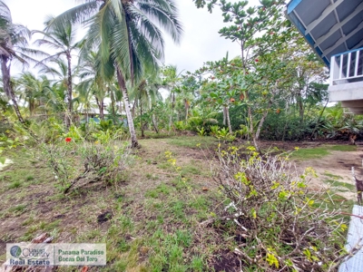 Caribbean Beach House, Bastimentos, Bocas del Toro, Panama - image 15