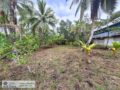 Caribbean Beach House, Bastimentos, Bocas del Toro, Panama - image 16