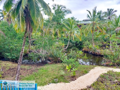 Caribbean Beach House, Bastimentos, Bocas del Toro, Panama - image 12