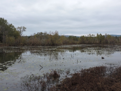 HUNTING Land or INVESTMENT Property FOR SALE - image 10