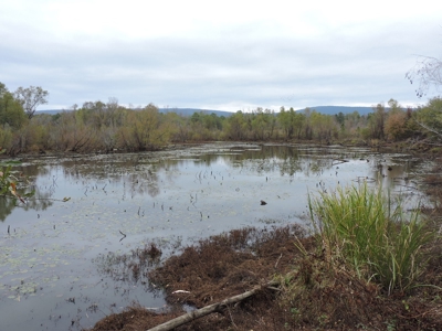 HUNTING Land or INVESTMENT Property FOR SALE - image 7