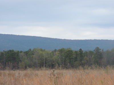 HUNTING Land or INVESTMENT Property FOR SALE - image 4