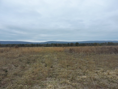 HUNTING Land or INVESTMENT Property FOR SALE - image 2