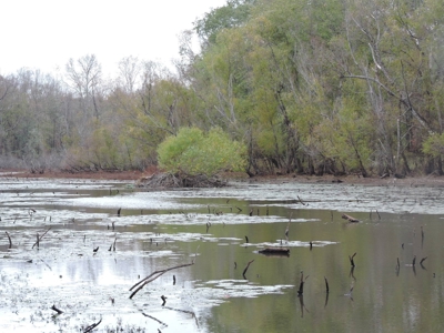 HUNTING Land or INVESTMENT Property FOR SALE - image 9