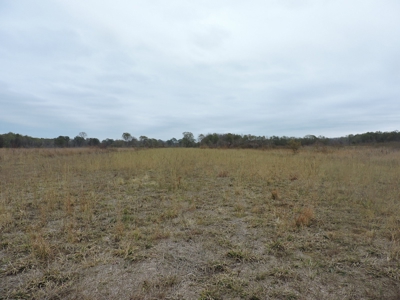 HUNTING Land or INVESTMENT Property FOR SALE - image 1
