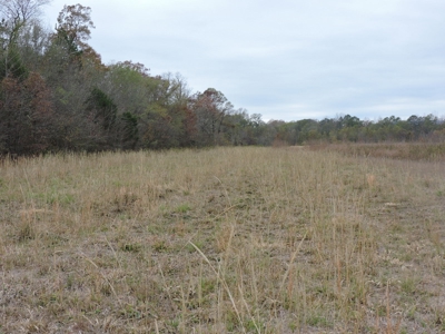 HUNTING Land or INVESTMENT Property FOR SALE - image 6