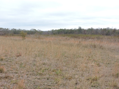 HUNTING Land or INVESTMENT Property FOR SALE - image 5