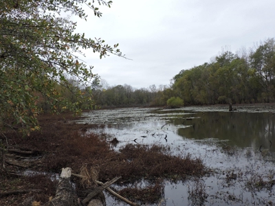 HUNTING Land or INVESTMENT Property FOR SALE - image 8