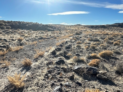 Nevada Residential Recreational Land For Sale in Lyon County - image 32
