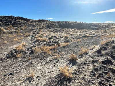 Nevada Residential Recreational Land For Sale in Lyon County - image 31