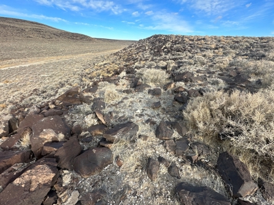 Nevada Residential Recreational Land For Sale in Lyon County - image 42
