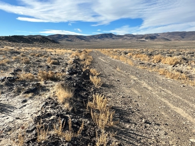 Nevada Residential Recreational Land For Sale in Lyon County - image 34