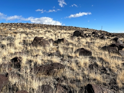 Nevada Residential Recreational Land For Sale in Lyon County - image 4