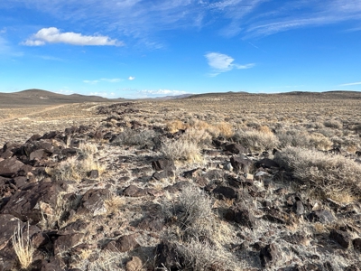 Nevada Residential Recreational Land For Sale in Lyon County - image 39