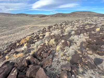 Nevada Residential Recreational Land For Sale in Lyon County - image 45
